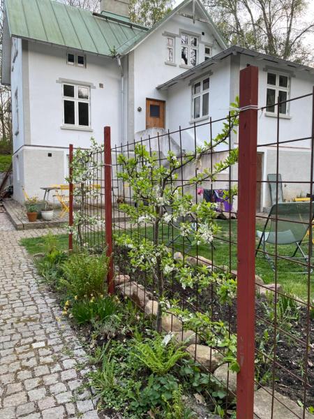Na fotografii je vidět objekt Villa Collina nacházející se ve městě Mölle.