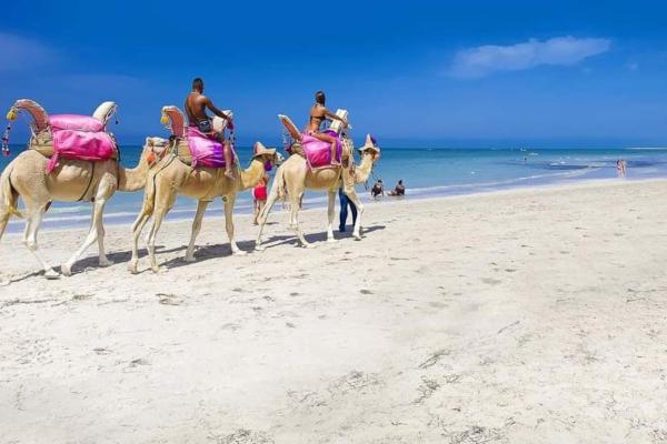 På billedet ses objektet superbe appart 2 min beliggende i byen Sousse.