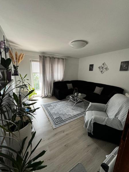 Na fotografii je vidět objekt Apartment Danijela nacházející se ve městě Senj.