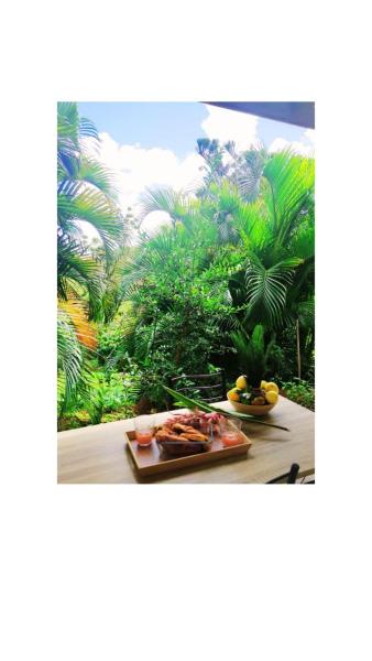 Na fotografii je vidět objekt Villa tropicale charmant T2 dans un cadre verdoyant nacházející se ve městě Maximin.