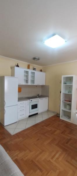 A la foto es mostra l'objecte Agava City Apartment situat a la ciutat de Pasuljište.