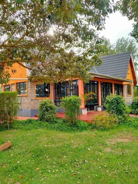 The photo shows the The Orange Cottage located in the city of Rititi.