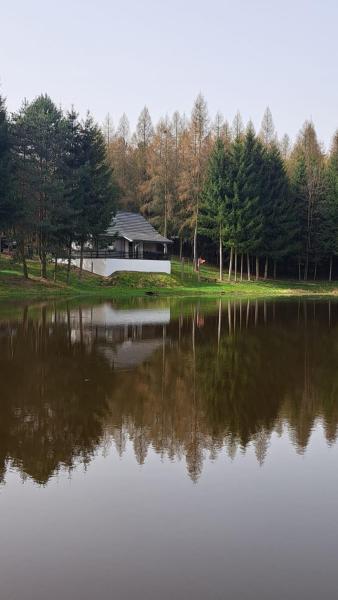 Nella foto è visibile l'oggetto Oaza Las Zagozd 2 situato nella città di Łabędzie.