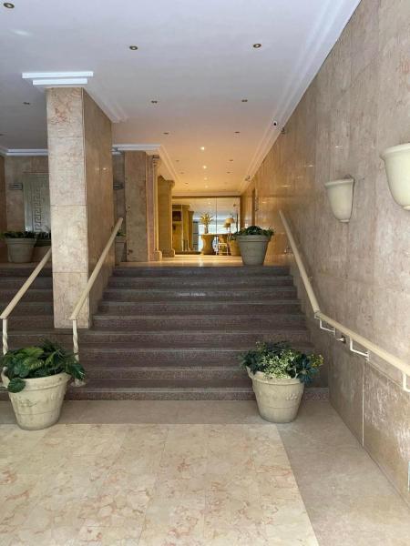 الزمالك photo 2