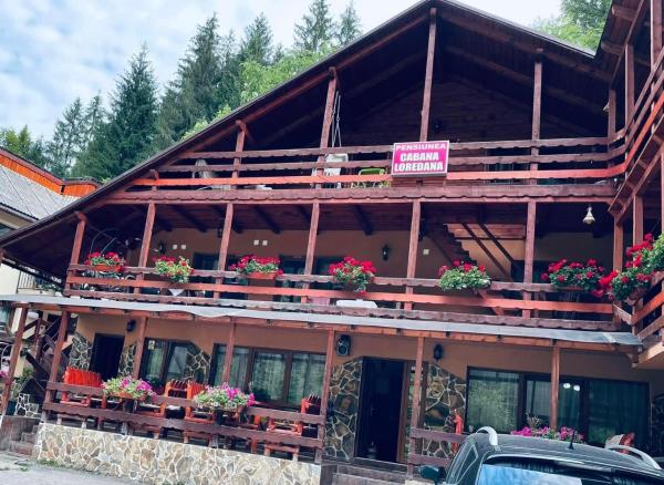På bildet vises objektet Cabana Loredana som ligger i byen Burzeşti.