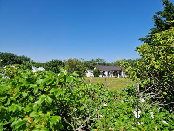 Amalia - Ameland