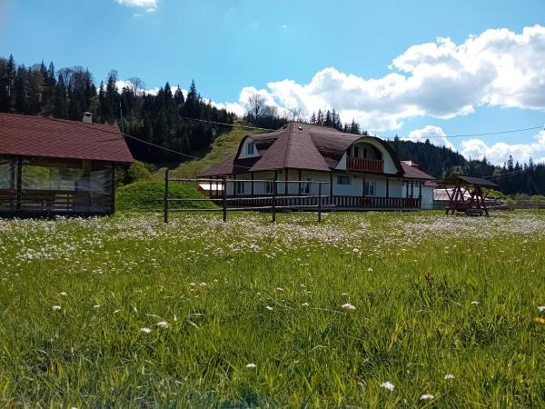 A la foto es mostra l'objecte Cabana Iriss situat a la ciutat de Podu Coşnii.