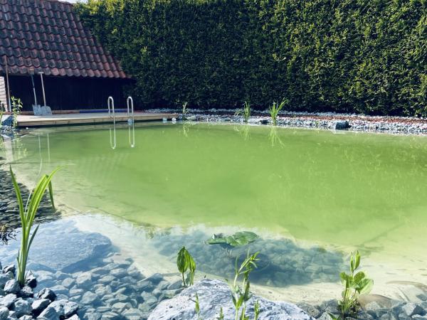 Fewo Zitronenfalter Eg - Langeoog
