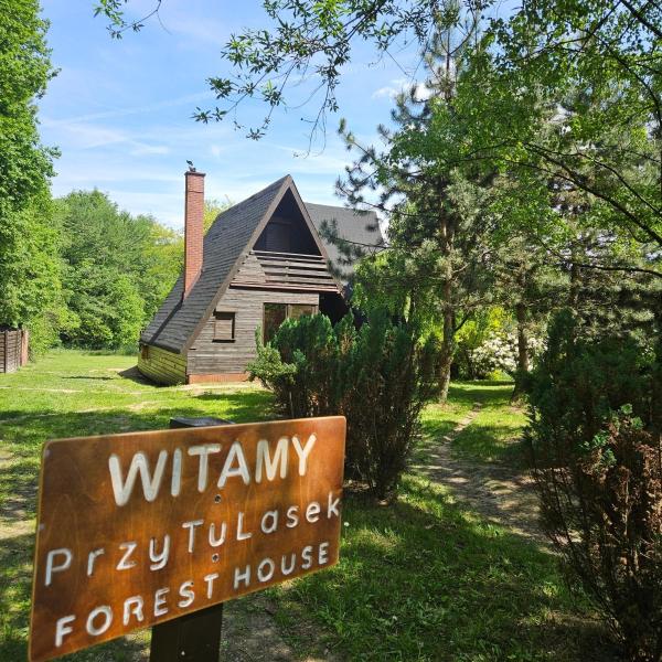 A la foto es mostra l'objecte PrzyTuLasek - domek pod lasem w sercu natury, blisko Energylandii situat a la ciutat de Zator.