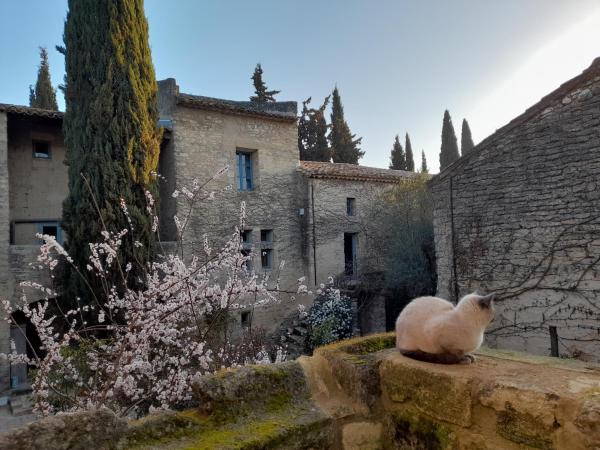 På billedet ses objektet Le Mas Dulac beliggende i byen Uzès.