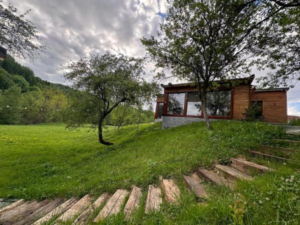 Na fotografii je vidět objekt Biutiful Bungalow nacházející se ve městě Repedea.