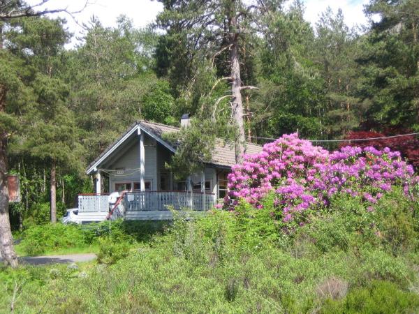 Nella foto è visibile l'oggetto Fjordhytte-40 im Vestland - Hordaland nahe Rosendal situato nella città di Våge.