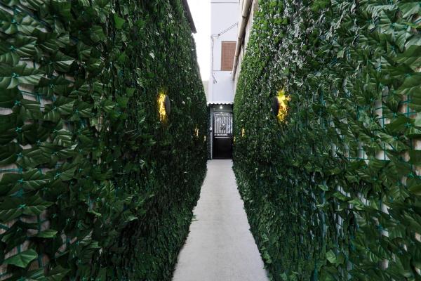 The photo shows the d'Mezzanine located in the city of Sentool.