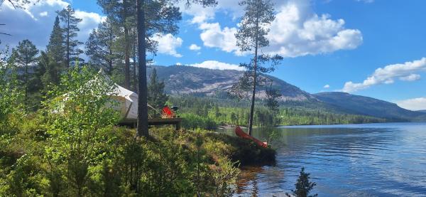 A la foto es mostra l'objecte Telemark Camping situat a la ciutat de Moland.