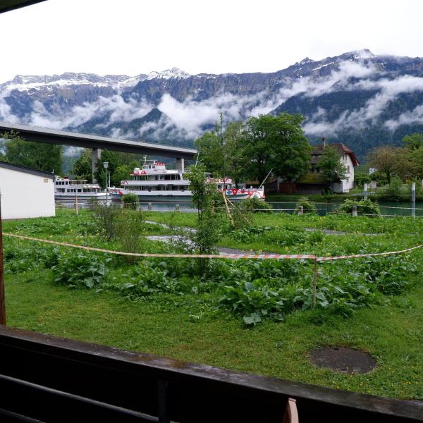 På billedet ses objektet Aare Studio 2 beliggende i byen Interlaken.