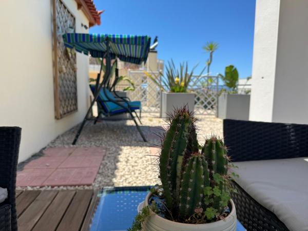Bilde 5: Rooftop 11