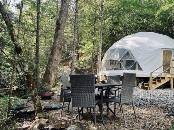 A la foto es mostra l'objecte Moonshine Hollow Dome By Rafting situat a la ciutat de Cosby.
