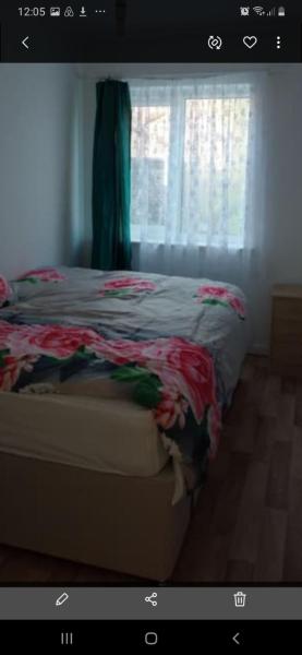 veggie single room in 2 bed flat, close to NEC, Birmingham