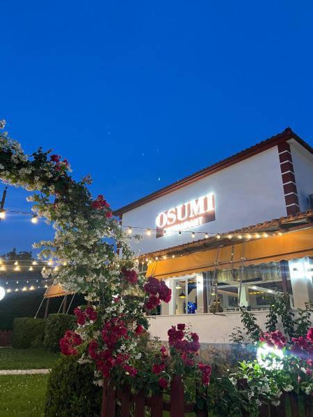 写真にはDardhë市にあるGuesthouse Osumiが写っています。