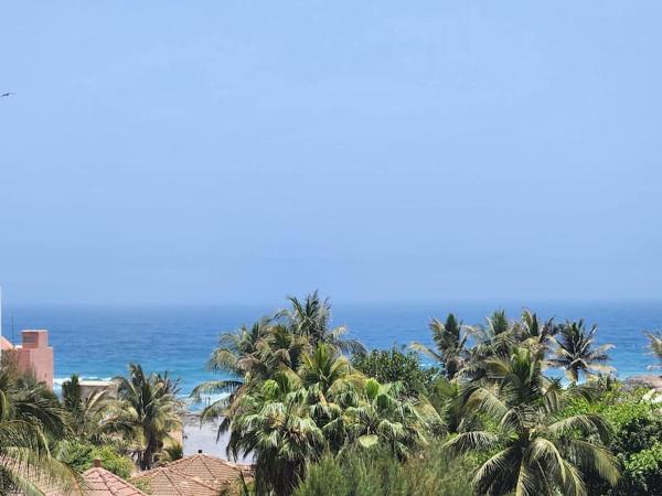 A la foto es mostra l'objecte Oasis situat a la ciutat de Dakar.