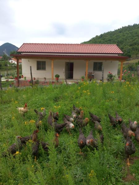 På billedet ses objektet Shpija E AMEL (Sweet Guest House) beliggende i byen Ferr-Shkopet.