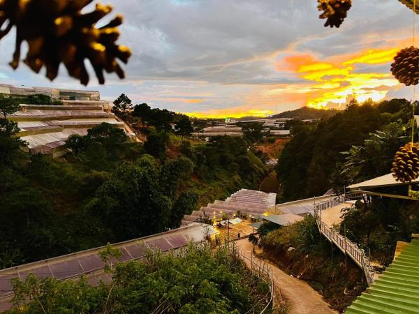 På bildet vises objektet Đà Lạt 2019 Homestay som ligger i byen Ấp Dangia.