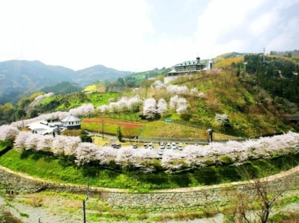 花の森ホテル的照片4