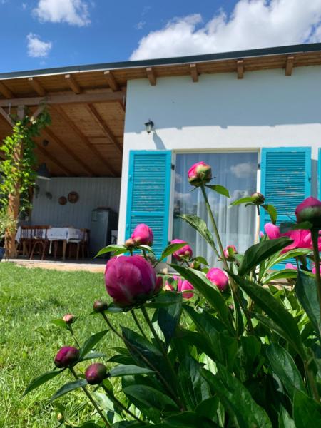 Na fotografii je vidět objekt Backyard Cottage nacházející se ve městě Săsciori.
