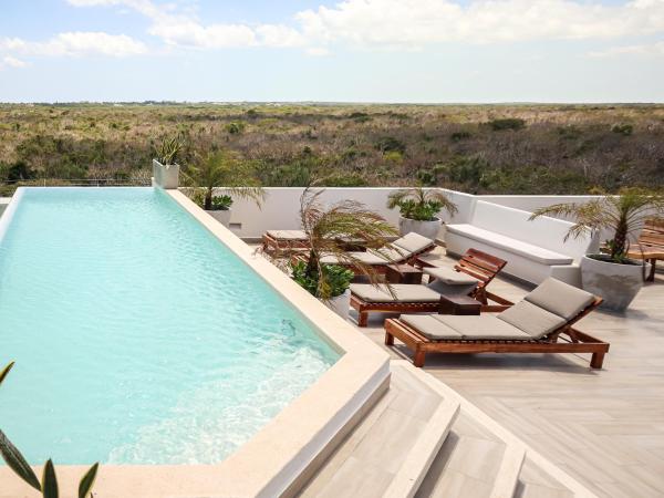 A la foto es mostra l'objecte Botánic Departamento Doble en Tulum con Alberca, AC, Amenidades, Cerca de la Playa situat a la ciutat de Tulum.
