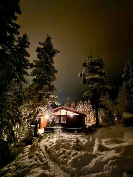 Nella foto è visibile l'oggetto Koselig sommer og vinterhytte situato nella città di Trysil.