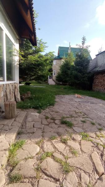Photo 6 : Колорит