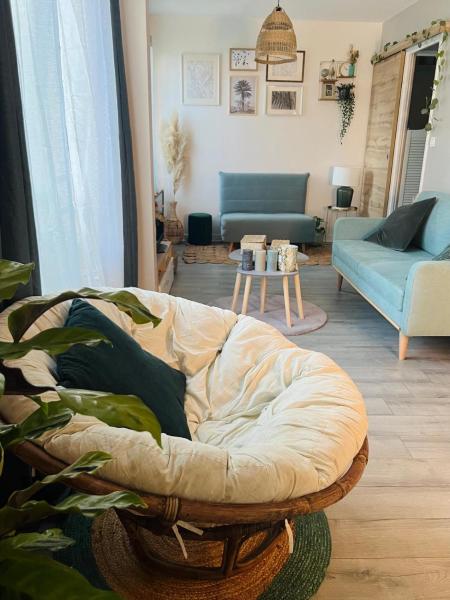 Charmant & Cosy T2 Toulousain, Toulouse