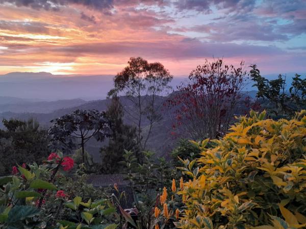 写真にはLa Linda市にあるMirador Finca Morrogachoが写っています。