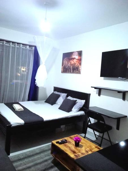 Foto 1: Mini Studio - Charry Heights, Carwash, Kisumu