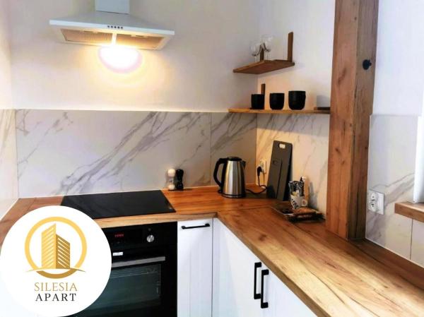 Na zdjęciu widoczny jest obiekt Apartament Miedziany położony w mieście Tychy.