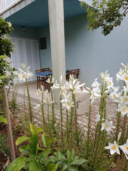 A la foto es mostra l'objecte Apartments Blue House situat a la ciutat de Korčula.