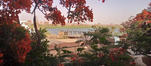 写真にはAţ Ţarfāyah市にあるQuiet house on the Nile Riverが写っています。