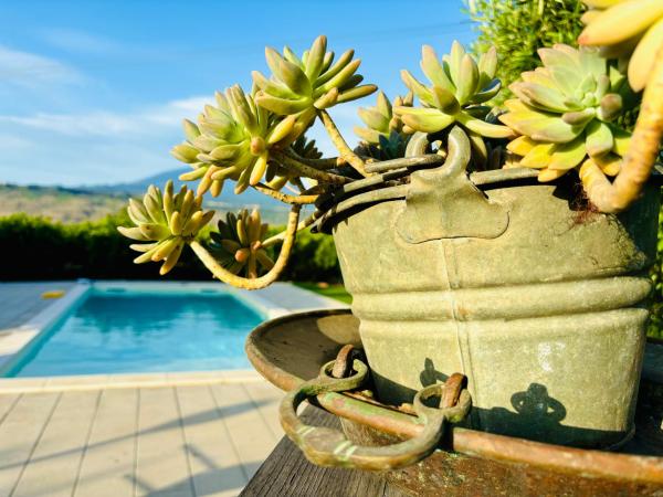 A la foto es mostra l'objecte Chalet Con Piscina situat a la ciutat de Centuripe.