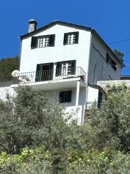 White House - Loriga