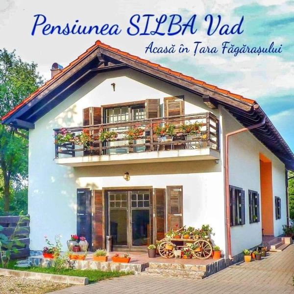 På billedet ses objektet Pensiunea Silba beliggende i byen Veneţia de Jos.