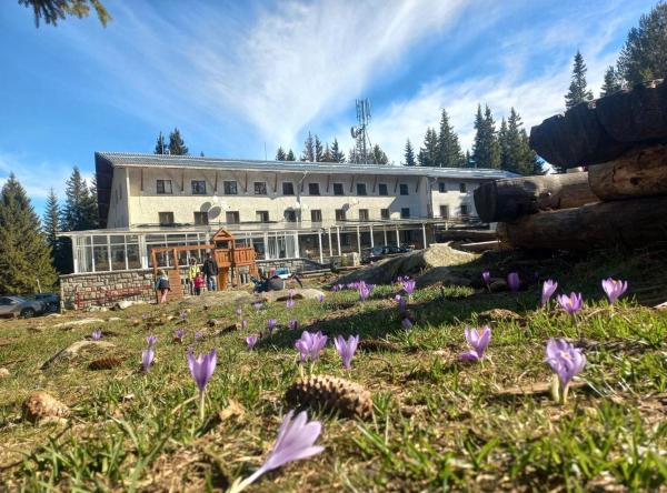 Στη φωτογραφία φαίνεται το αντικείμενο Zvezditsa Chalet που βρίσκεται στην πόλη Kladnitsa.