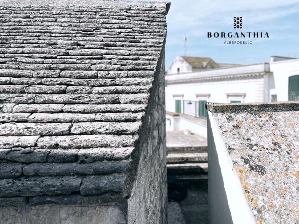 A la foto es mostra l'objecte BORGANTHIA situat a la ciutat de Alberobello.