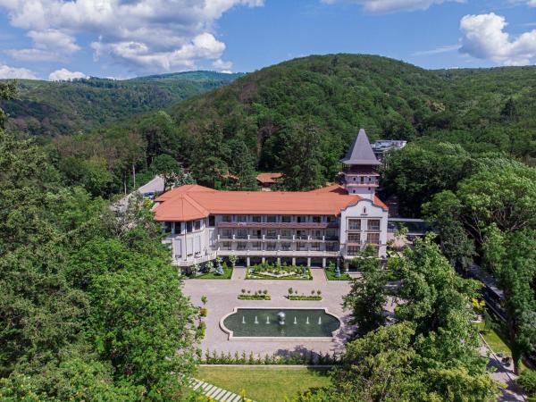 På bildet vises objektet Verkhovyna Resort Medical & Wellness som ligger i byen Novoselitsa.