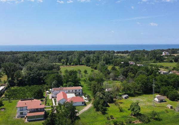 På billedet ses objektet Tomi Guesthouse beliggende i byen Ulcinj.