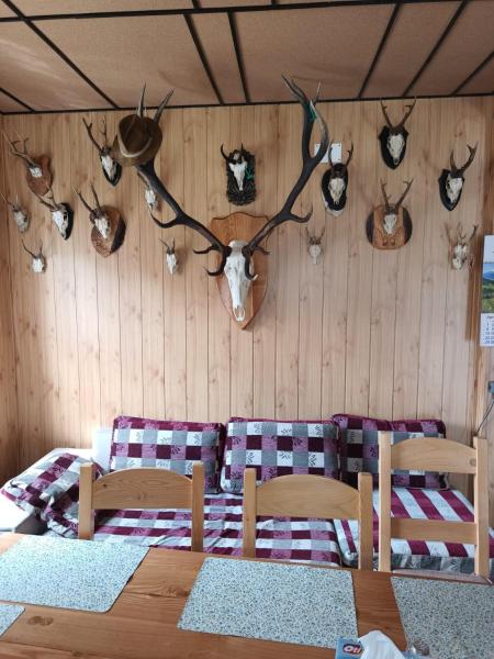A la foto es mostra l'objecte Casa Vanatorului Buzaiel situat a la ciutat de Crasna.