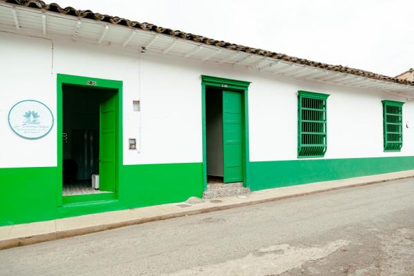 Luz Art - Jardín