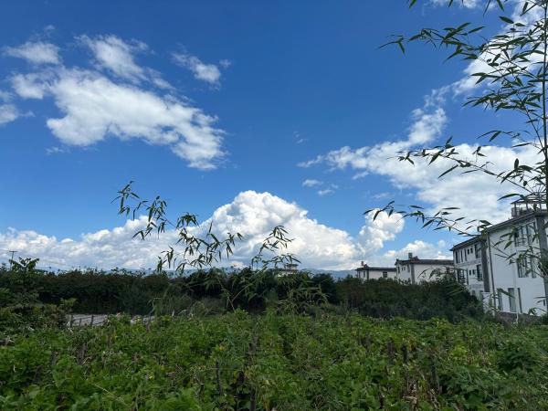 Foto 8: 大理朝光田舍
