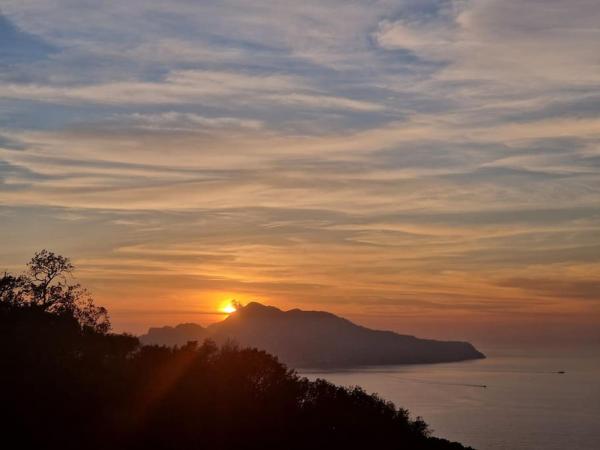 Bilde 9: SUN & RELAX, relaxing location with seaview