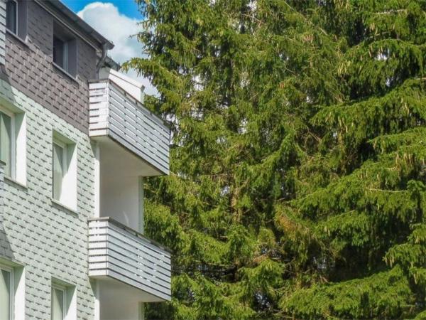 A la foto es mostra l'objecte Ferienwohnung Oberharz K-5-D-3 situat a la ciutat de Altenau.