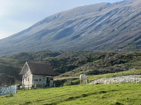 Na zdjęciu widoczny jest obiekt Saffron House Nivica położony w mieście Bashaj.